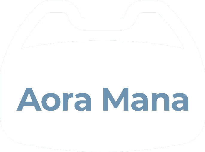 Découvrez le casque VR Aora Mana ?